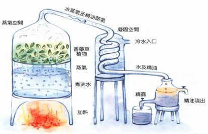 各種純露的作用